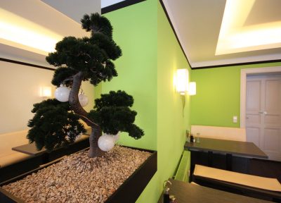 Bonsai als Hingucker im Restaurant Berlin