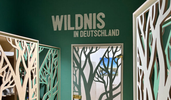 Eingangsbereich mit dunkelgrünen Wänden, dunkelblauer Decke und Raumteilern mit Baumsilhouetten. An der Wand das Schrift-Logo "Wildnis in Deutschland".