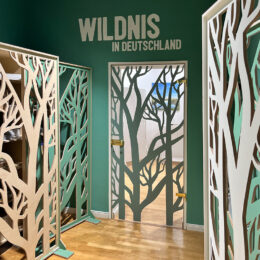 Dieses Bild führt als Link zur Projektseite über die nachhaltige Bürogestaltung der Klimawildniszentrale in Berlin. Man sieht den Eingangsbereich mit Raumteilern, die Baummotive zeigen.